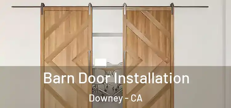  Barn Door Installation Downey - CA