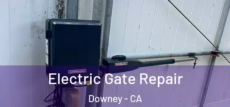  Electric Gate Repair Downey - CA