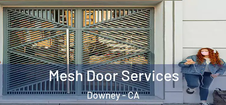 Mesh Door Services Downey - CA