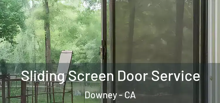 Sliding Screen Door Service Downey - CA